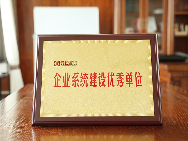 企業(yè)系統建設優(yōu)秀單位